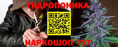 ГАЛЛЮЦИНОГЕННЫЕ ГРИБЫ Сланцы