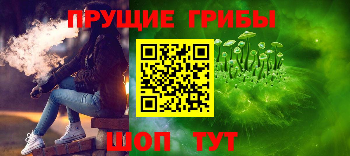Псилоцибиновые грибы Psilocybe Артёмовский
