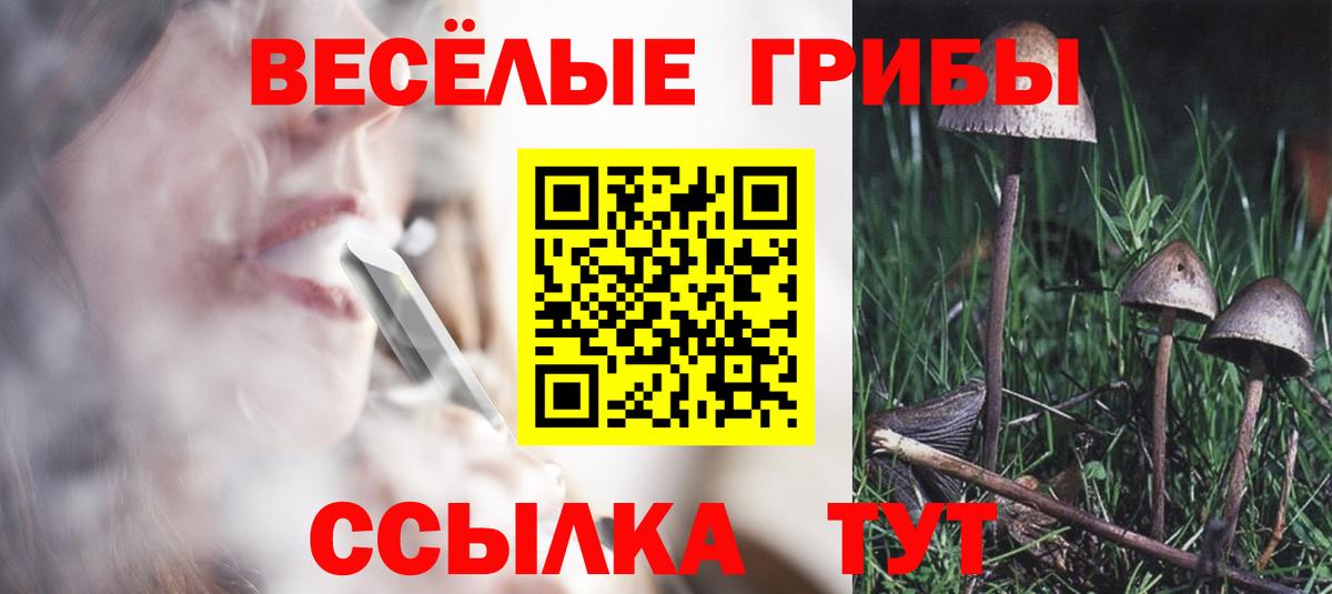 Артёмовский  Галлюциногенные грибы Magic Shrooms  Вход с VPN  Галлюциногенные грибы мухоморы 